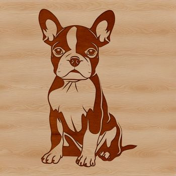 A sitting Boston Terrier depicted in vector format, ideal for digital use.
