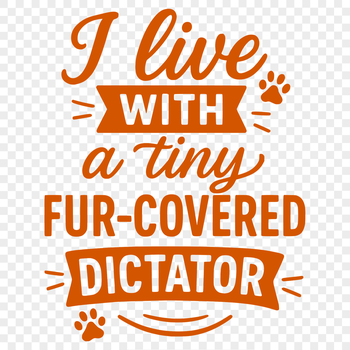 A colorful cat-themed quote illustration featuring playful typography.