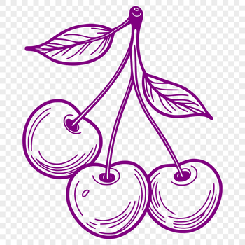 A detailed vector illustration of a single cherry, suitable for digital and print use in various formats.