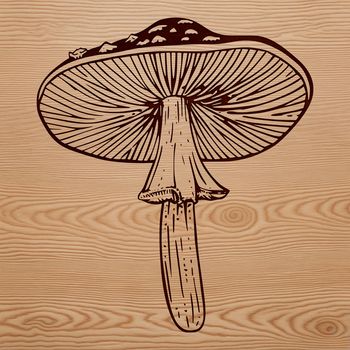 A stylized graphic representation of a mushroom in various shapes and sizes.