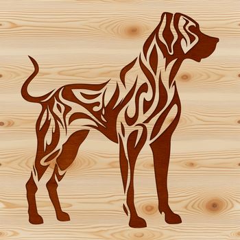 A large breed dog, the Great Dane, standing proudly with its distinctive physical features.
