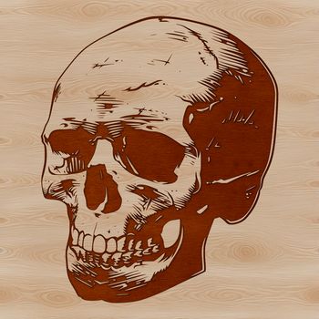 A detailed illustration of a skull with intricate design elements, suitable for tattoo designs or stencil making.