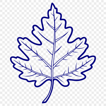 A single oak leaf rendered as a scalable vector graphic.