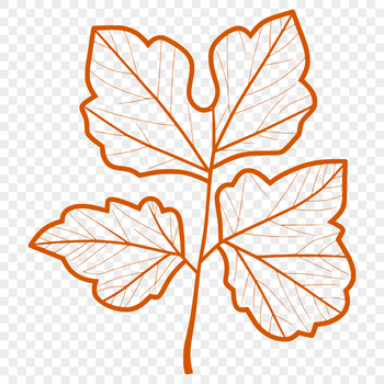 A green leaf with pointed edges and veins, presented in a simple vector design.