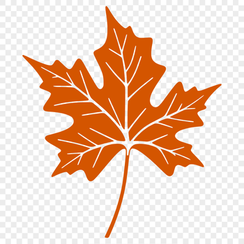 A detailed illustration of a single leaf with intricate vein patterns, suitable for vector art and design projects.