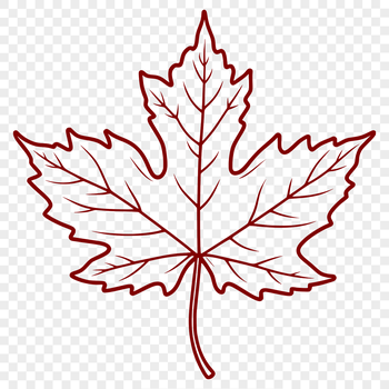 An illustration of a maple leaf in vector format.
