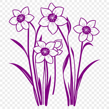 A vector illustration of a daffodil flower in bloom.