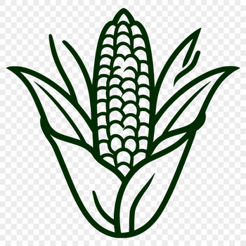 A detailed illustration of an ear of corn, suitable for vector graphics and cutting machine templates.