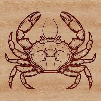 A digital illustration of a wild crab with detailed features.