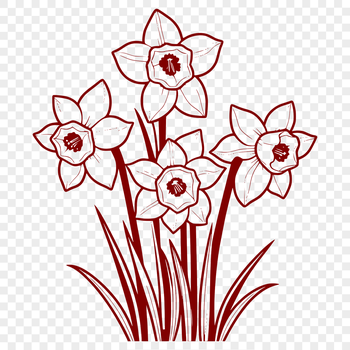 A white daffodil flower with bright yellow trumpet-shaped center, ideal for vector design projects.