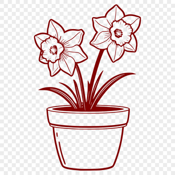 A white daffodil flower blooms in a small ceramic pot with green leaves.