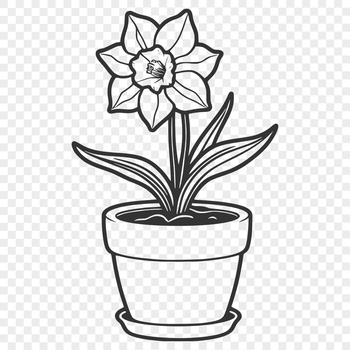 A single white and yellow daffodil stem in a clay pot on a table.