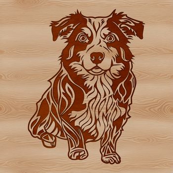 A high-quality image of a sitting Australian Shepherd dog breed with details suitable for vector design.