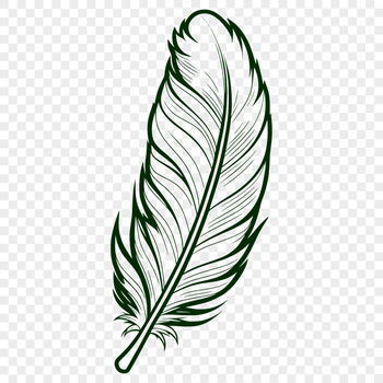 A stylized clip art design featuring a single feather, suitable for commercial and personal projects.