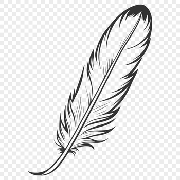 A high-quality vector illustration of a single bird's feather with precise edges and clean lines.