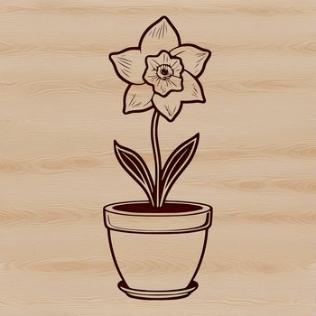 A single stem of bright yellow daffodil with white trumpet-shaped flowers in a small pot.