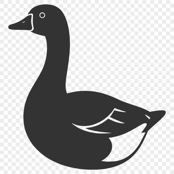 A simple vector illustration of a white domesticated goose with black feathers.
