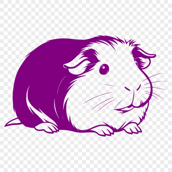 A guinea pig illustration designed as a vector graphic.