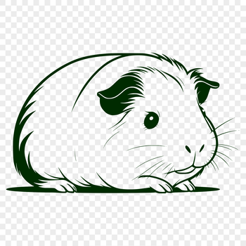 A Guinea Pig graphic designed as a scalable vector image.