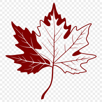 A green leaf illustration designed as vector art for digital use.
