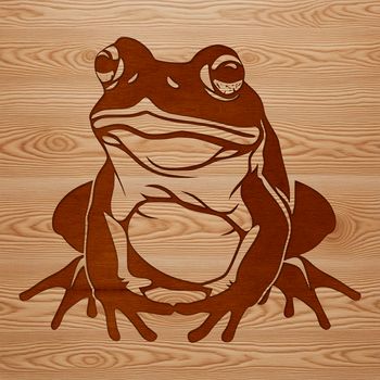 A detailed illustration of a toad in various postures and textures.