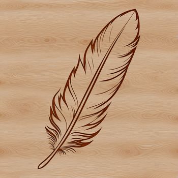 A detailed, high-quality illustration of a single feather, suitable for vector design and cutting machine applications.