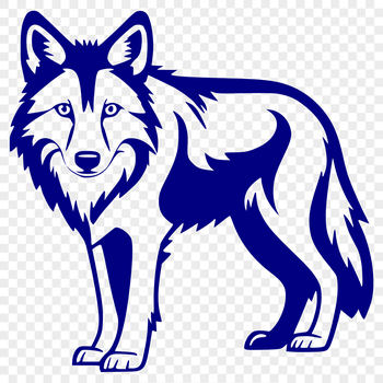 A detailed illustration of a standing wolf in full body form, suitable for vector graphics.