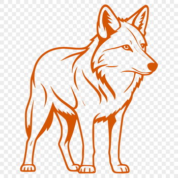 A detailed illustration of a wolf in full body standing posture.