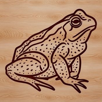 A digital illustration of a wild animal, specifically a toad, rendered as a vector graphic.