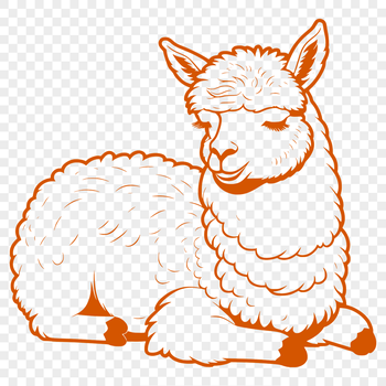 A resting South American camelid with a soft coat.