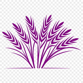 High-quality vector graphic illustration of a wheat element for commercial or personal use.