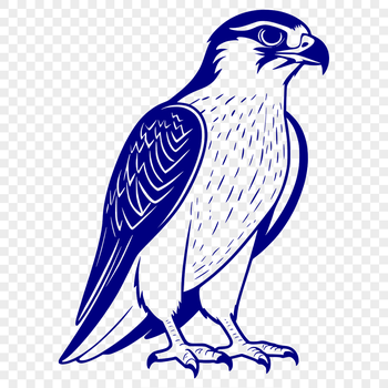 Vector illustration of a bird of prey, specifically a falcon, suitable for commercial or personal use in various designs.