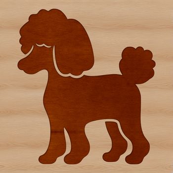 A standing poodle in profile, suitable for vector art and commercial or personal use.
