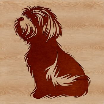 A small dog breed, the Havanese, depicted in a sitting position.