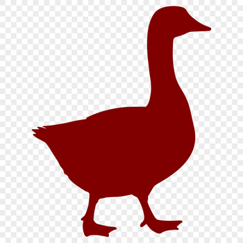 A simple illustration of a white domesticated bird with a distinctive honk sound.