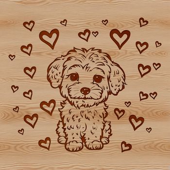 Close-up vector illustration of a sitting Havanese dog with heart symbols, suitable for graphic design projects.