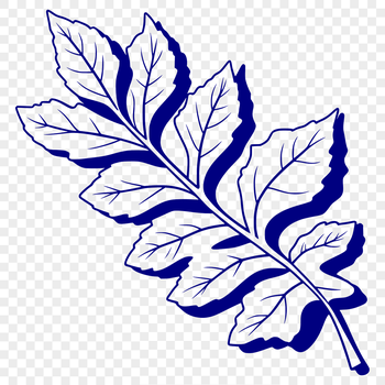 A high-quality illustration of a single leaf with detailed veins and edges, suitable for vector graphics and digital design.
