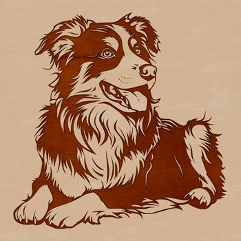 A detailed illustration of a laid-back Australian Shepherd dog sitting on the ground.