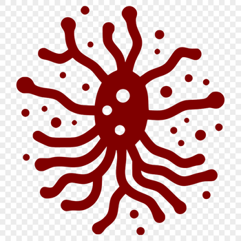 A detailed illustration of a single bacterium cell, created as a vector graphic.
