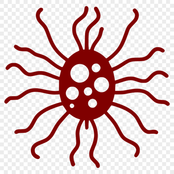 Vector illustration of a single bacterial cell with cellular structures.