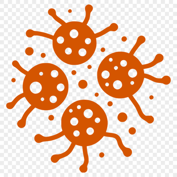 An illustration of a bacteria cell in vector format for design purposes.