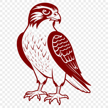 A realistic illustration of a falcon in vector format, suitable for commercial and personal use.