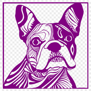 Close-up portrait of a Boston Terrier's head, a small breed dog with distinctive markings.