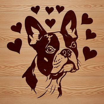Boston Terrier dog illustration with heart accents on its head.