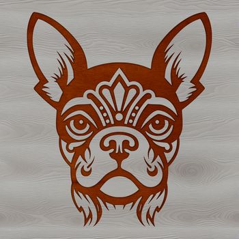 A close-up illustration of a Boston Terrier's head, featuring a small dog with a distinctive facial expression.