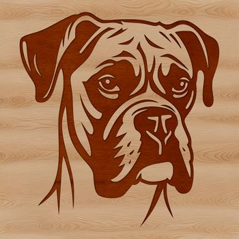 A close-up illustration of a Boxer's head, depicted in detailed vector art.