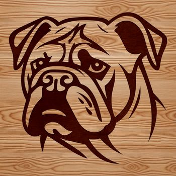 A detailed illustration of a bulldog's head, showcasing the breed's distinctive features.