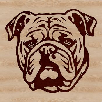 An SVG vector graphic image of a Bulldog's face, ideal for cutting machine projects or digital designs.