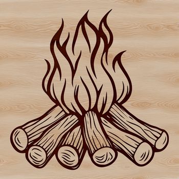 A camp fire burning in a wooded outdoor setting with flames rising from the center.