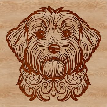 A small-sized breed dog with long hair and floppy ears, suitable for vector designs.